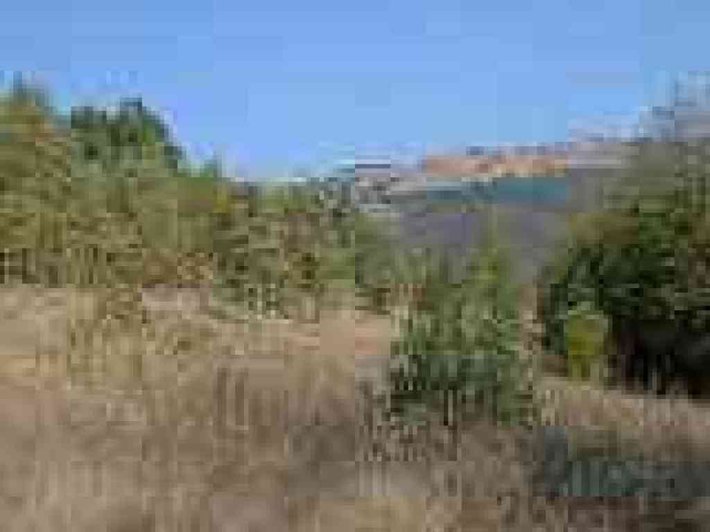 Photo of Upper Stevens Creek County Park