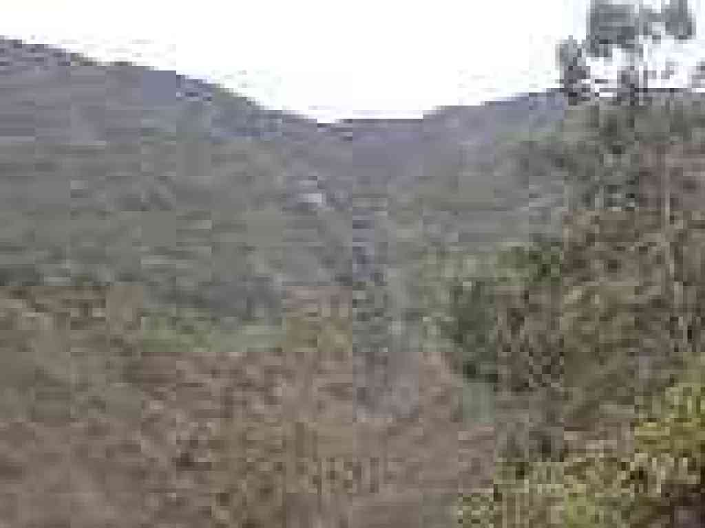 Photo of San Pedro Valley Park