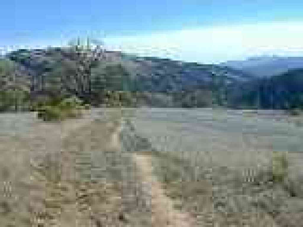 Photo of Monte Bello Open Space Preserve