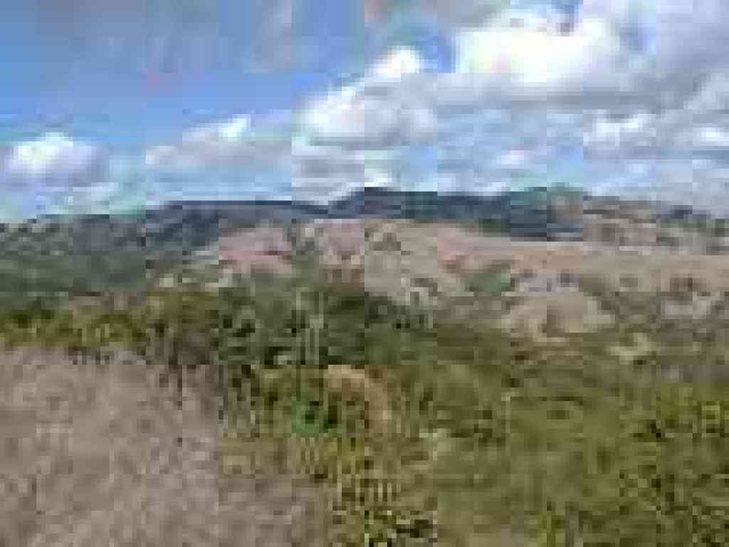 Briones