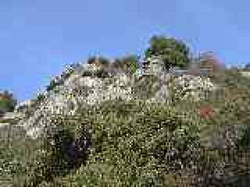 Castle Rock