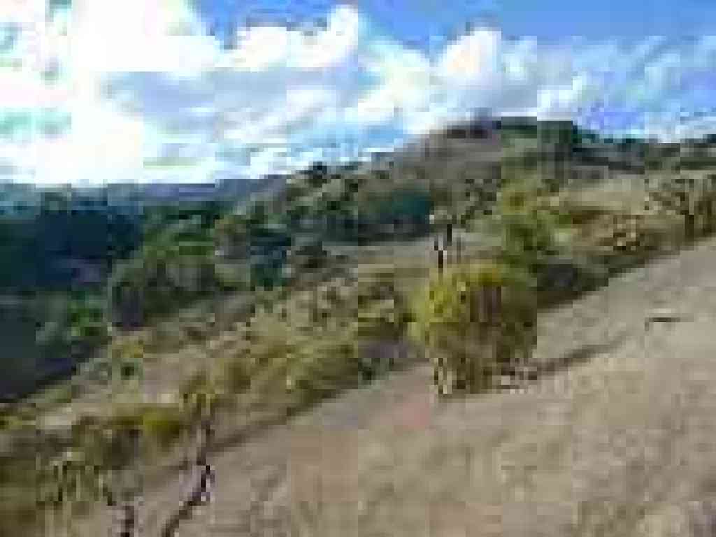 Fremont Older