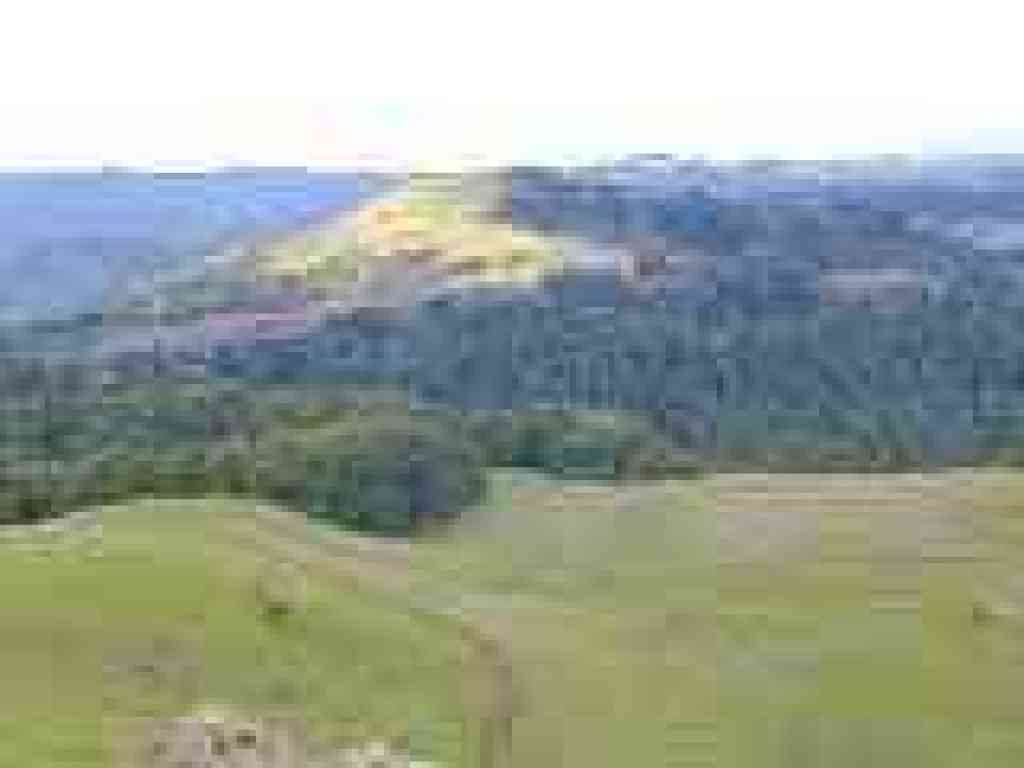 Photo of Russian Ridge Open Space Preserve