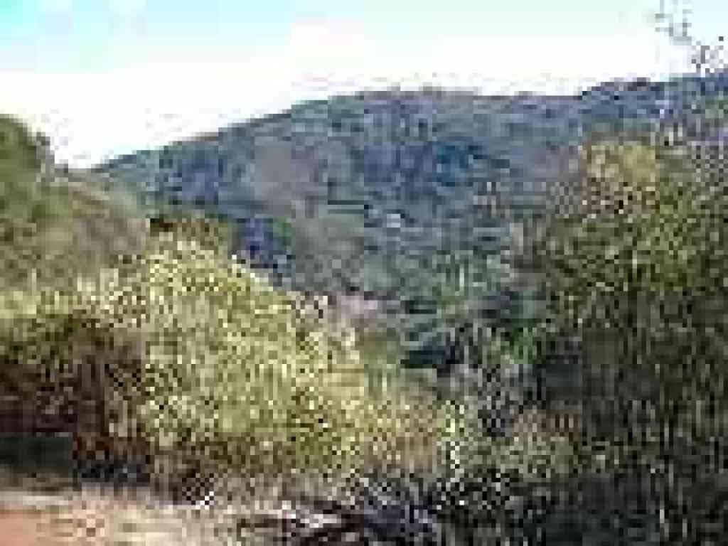 Photo of Almaden Quicksilver County Park