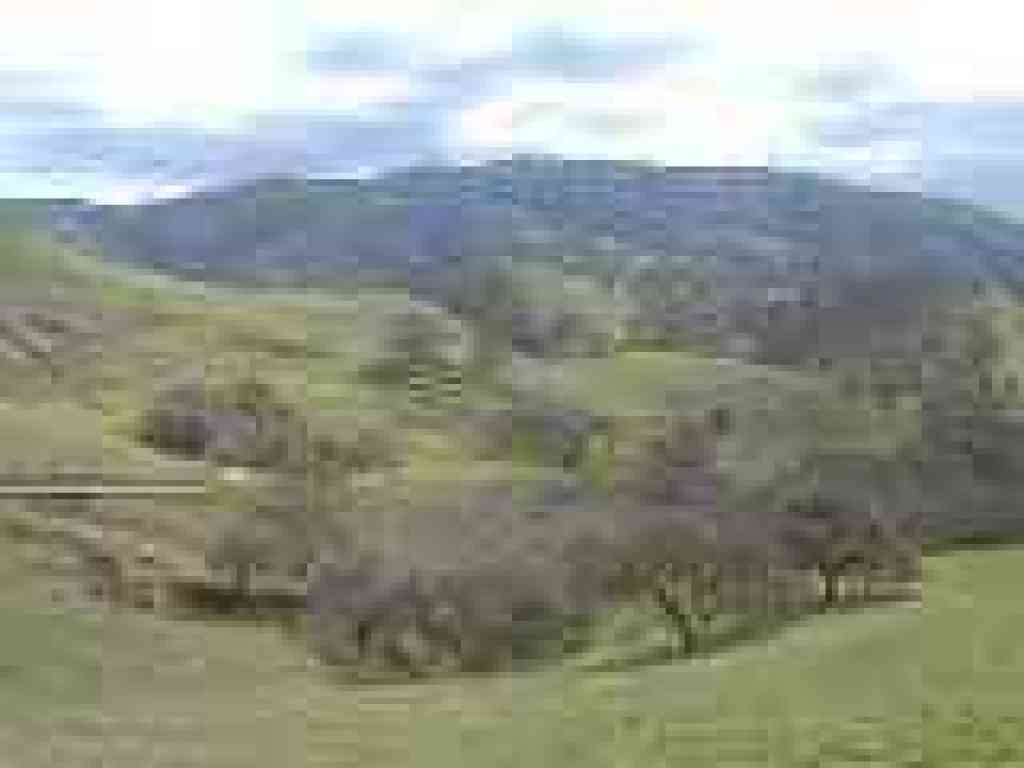 Del Valle
